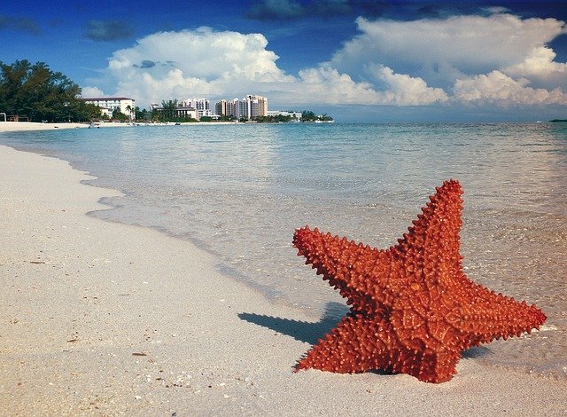 Retire or Live in Bahamas