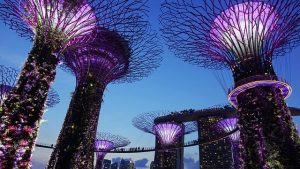 moving to Singapore