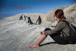 Travel to Cape town